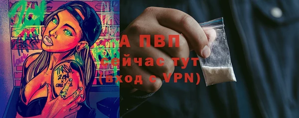 ECSTASY Балахна