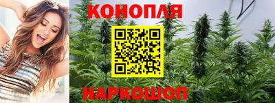 mdpv Краснознаменск