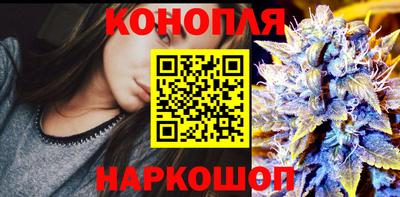 mdpv Краснознаменск