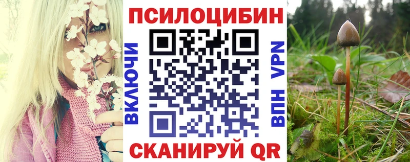 Псилоцибиновые грибы прущие грибы  Корсаков 