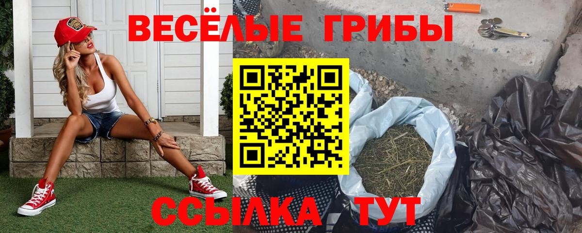 Псилоцибиновые грибы ЛСД  Псилоцибиновые грибы GOLDEN TEACHER  Корсаков  Вход с VPN 