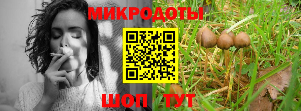Галлюциногенные грибы прущие грибы Корсаков